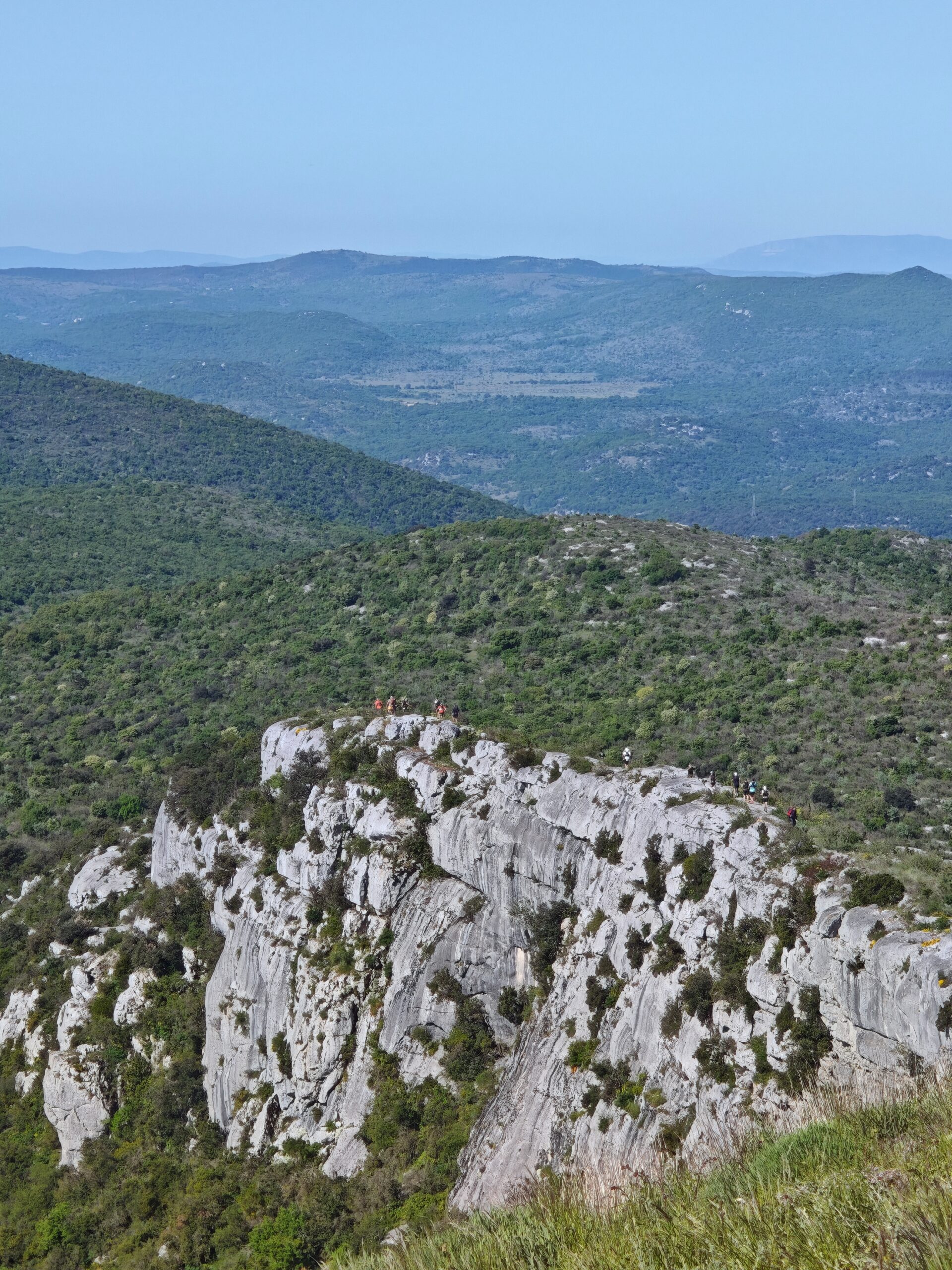 Festa trail