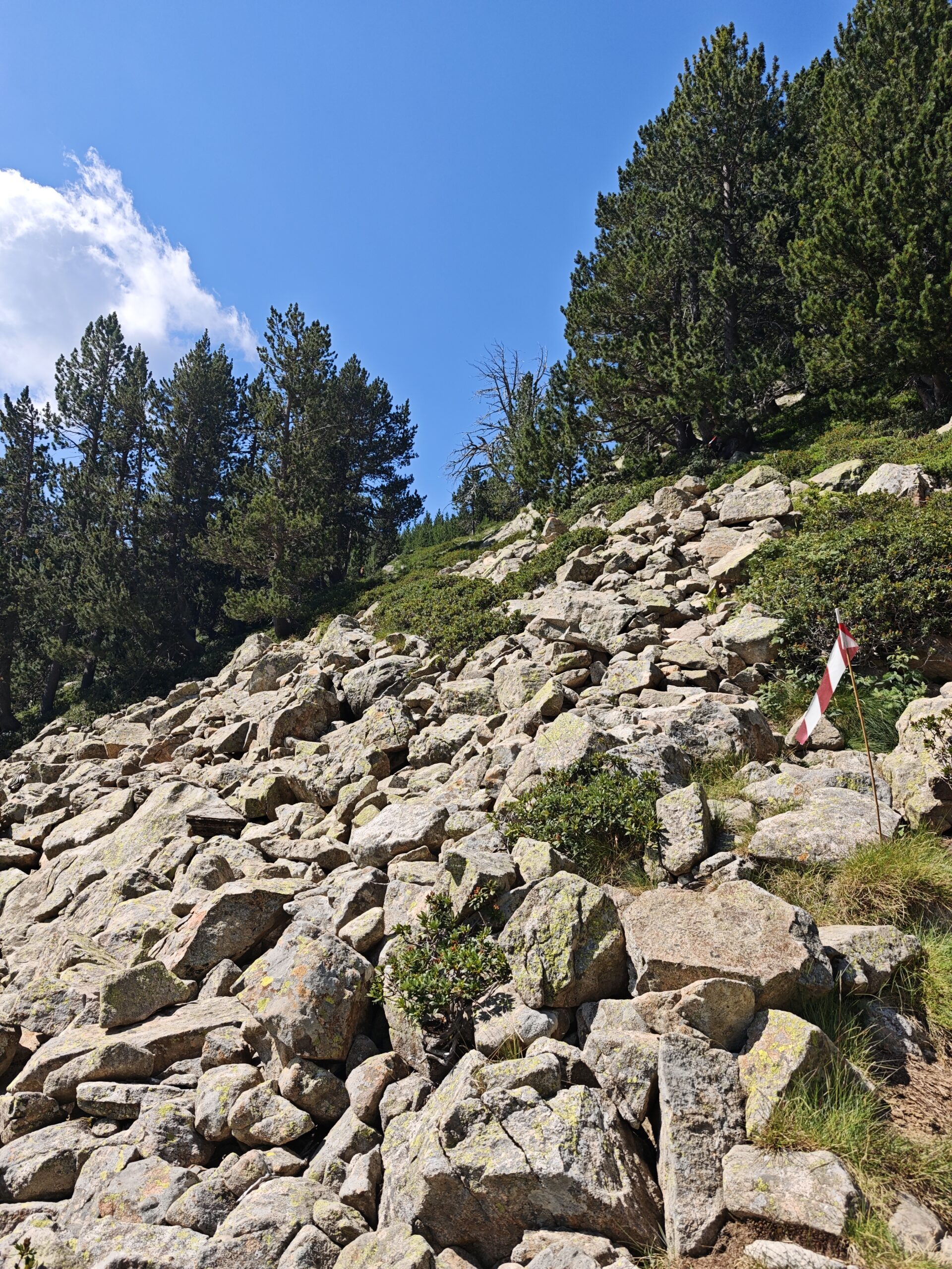 Trail Aneto Posets