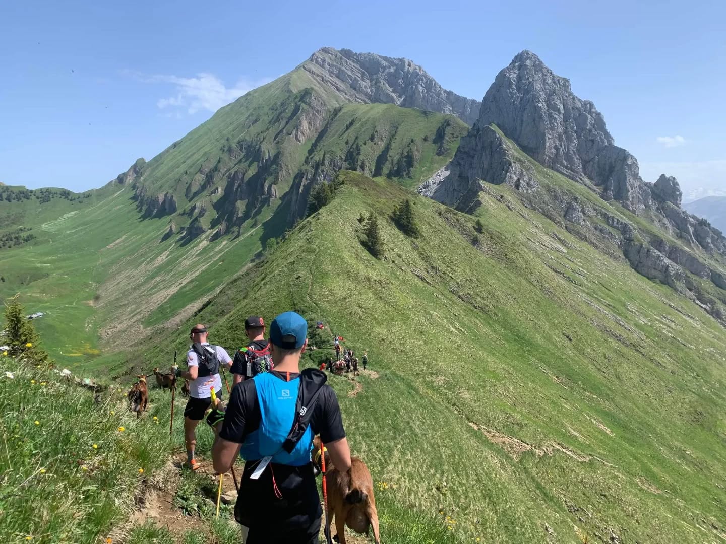 Trail du Gypaète