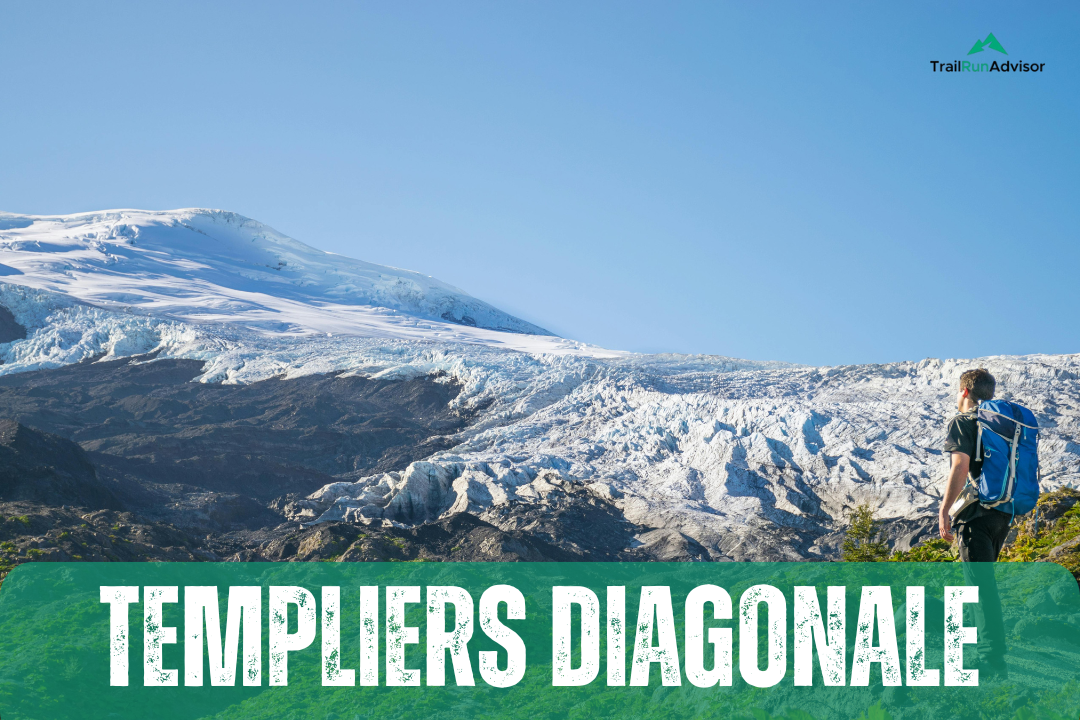 Templiers Diagonale live