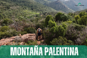 Palentina Trail 2025