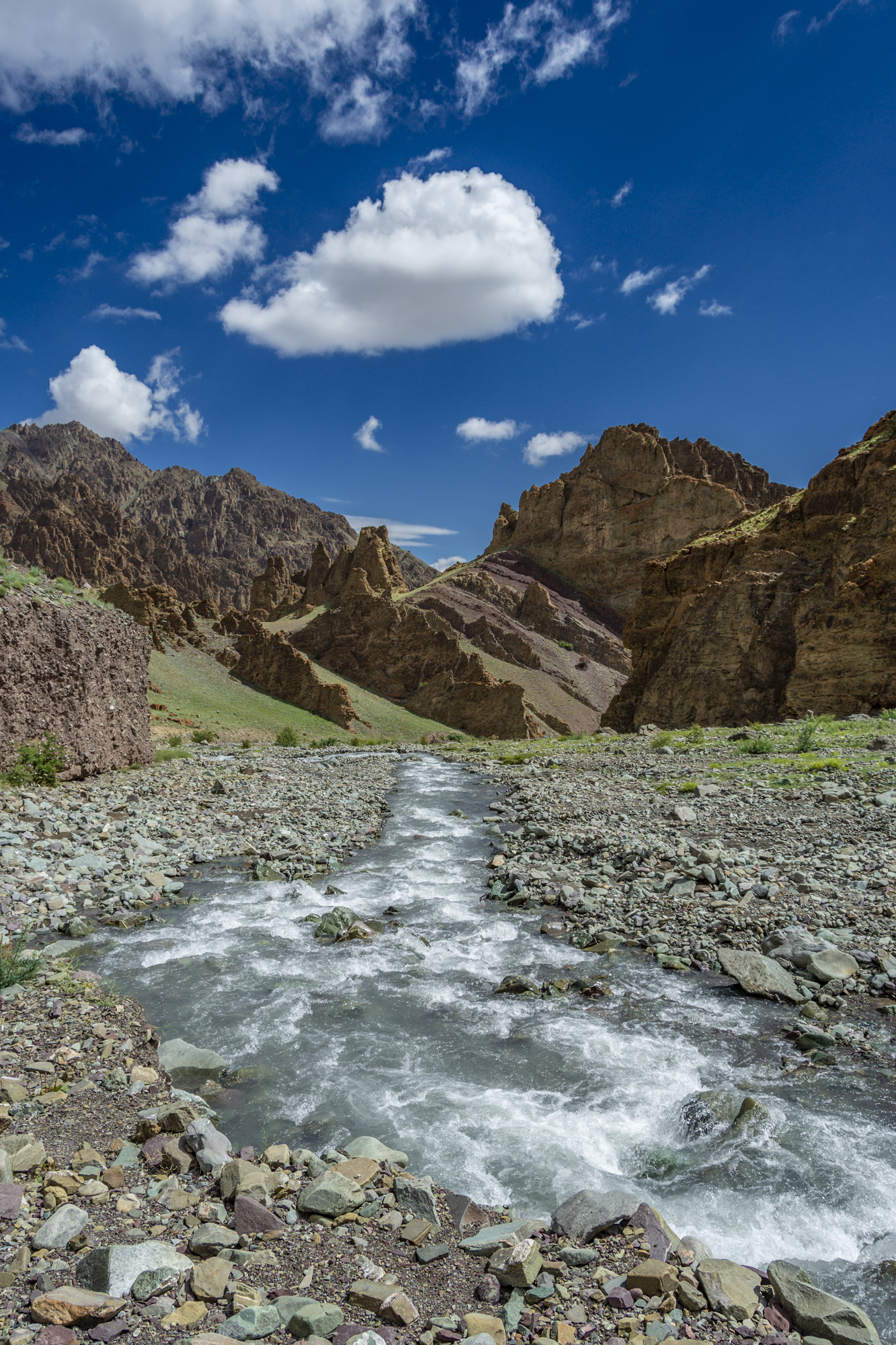 DSC_1638 (1)