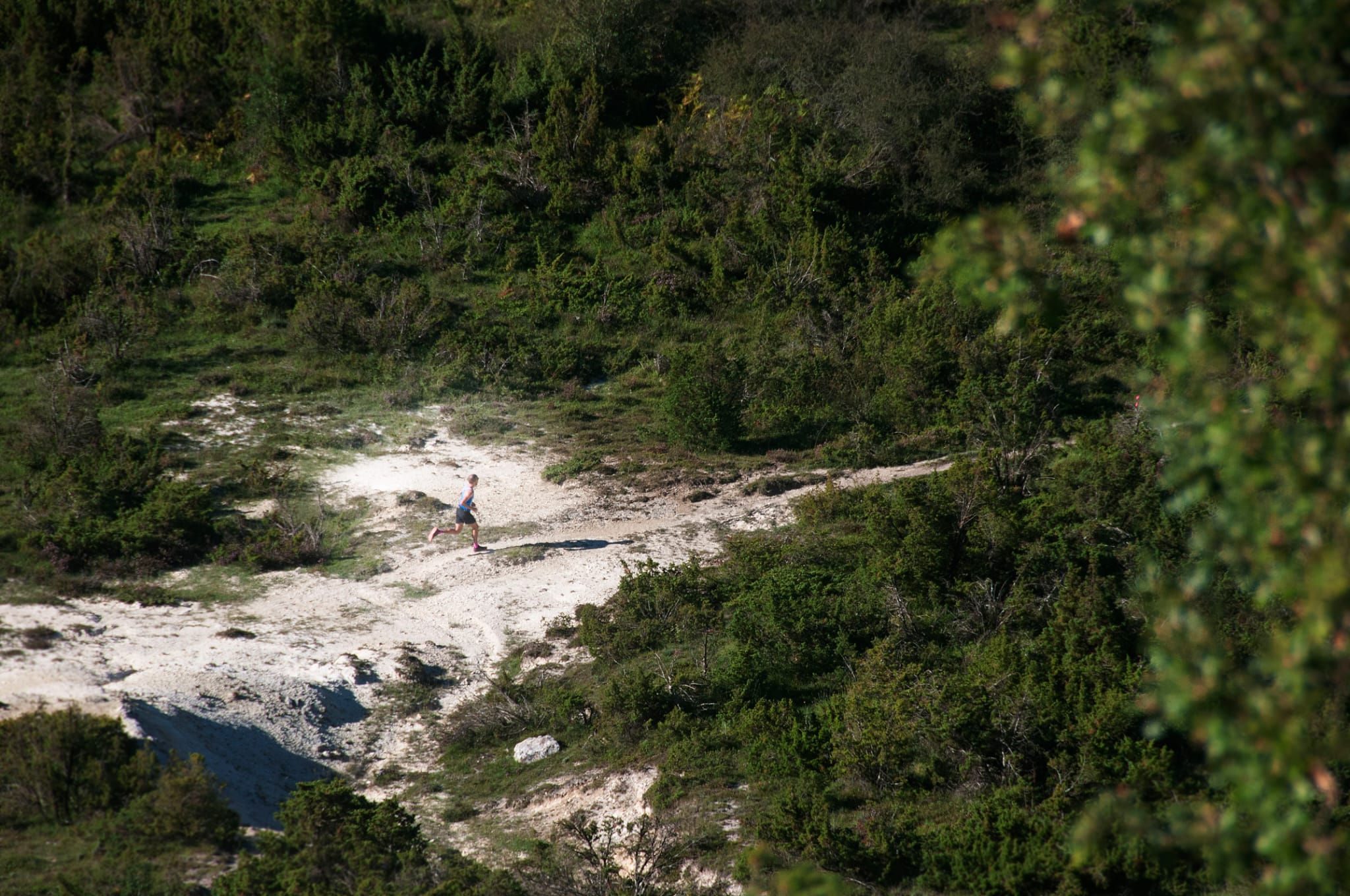 IMG-20250903-WA0016