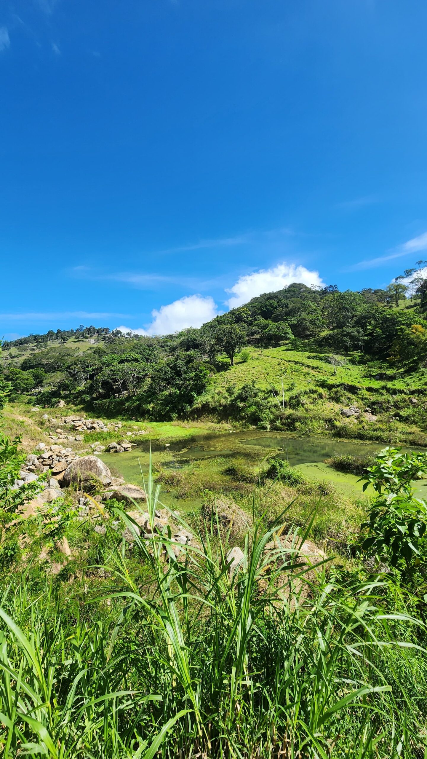 Project Trail Run - Etapa Serra Negra