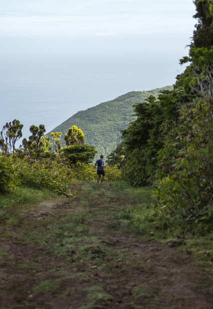 Capture d’écran 2026-02-23 221912