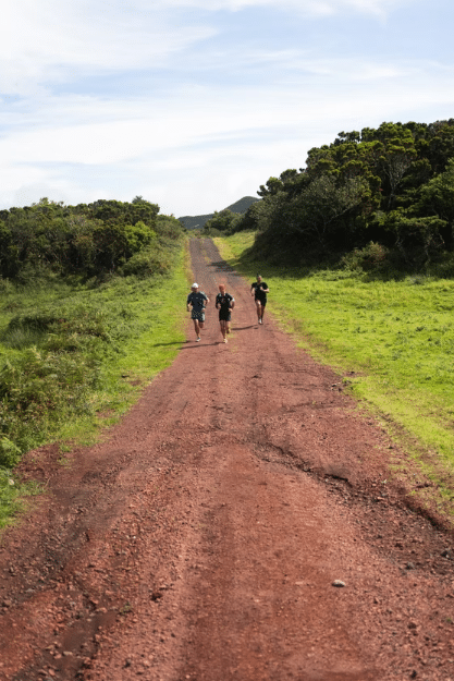 Capture d’écran 2026-02-23 222053