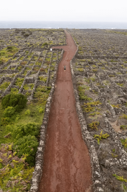 Capture d’écran 2026-02-23 222123