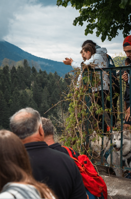 Capture d'écran 2026-03-31 134845