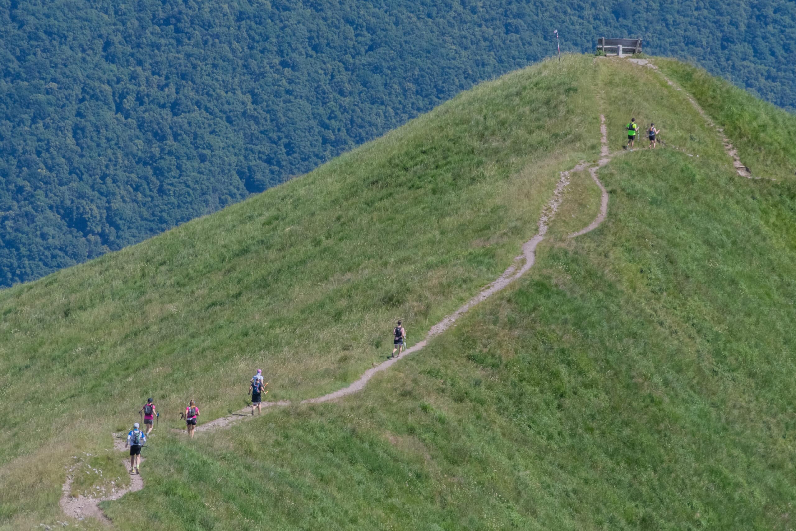K54, K120, K83 ScenicTrail_23 - PhotoAlexSalas (432)