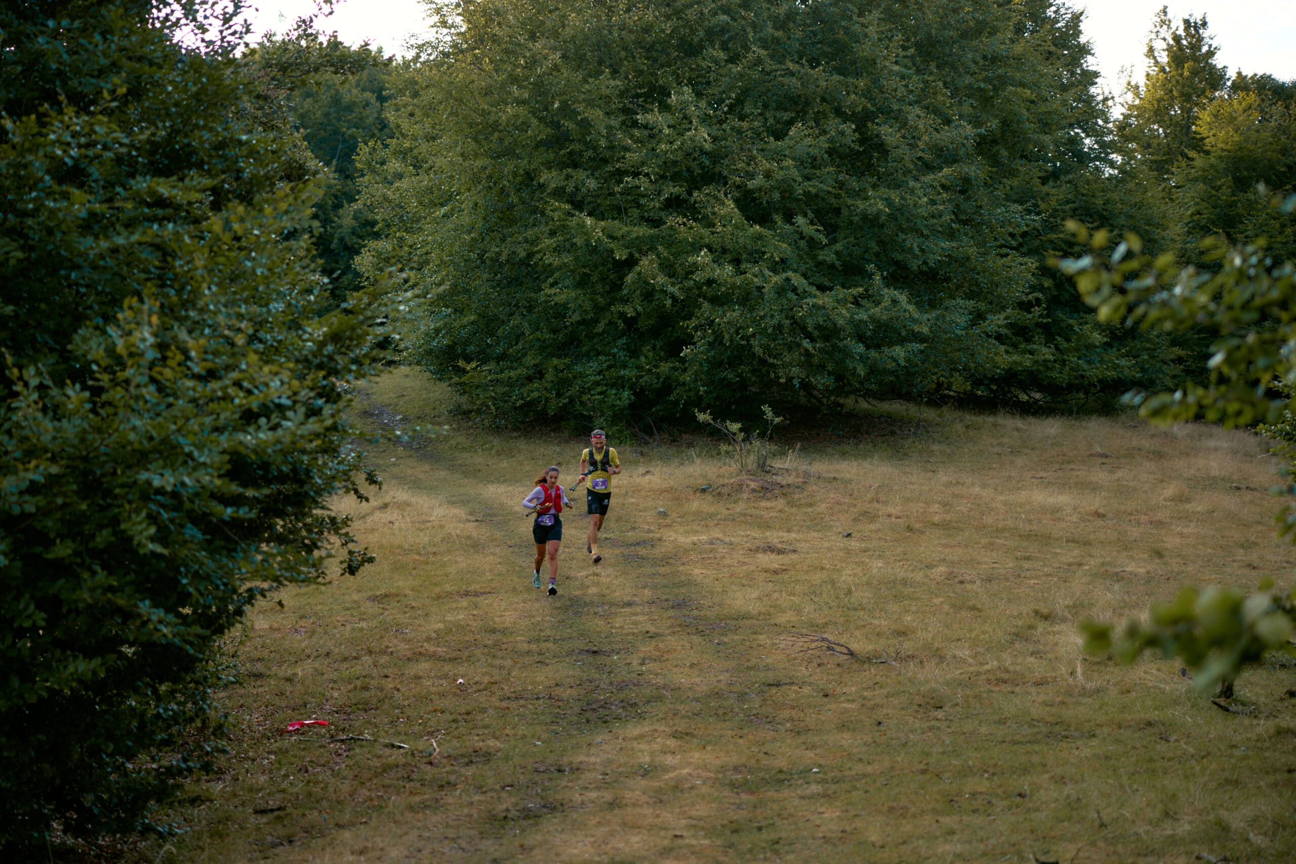 Zalau trail