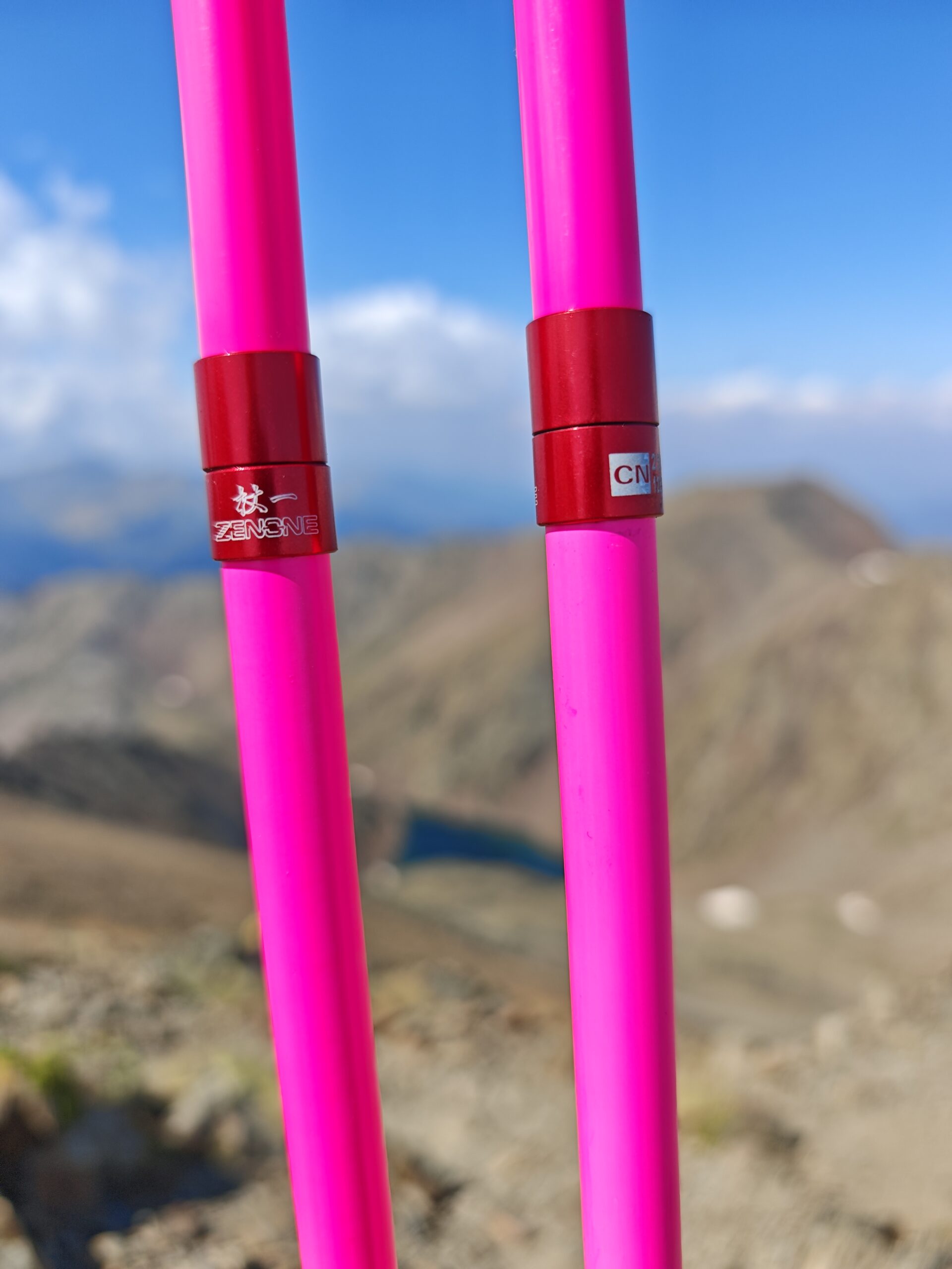 Running with Poles