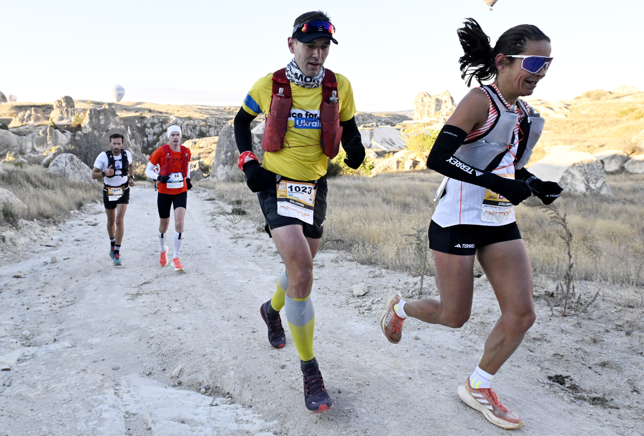 _SJD3479
