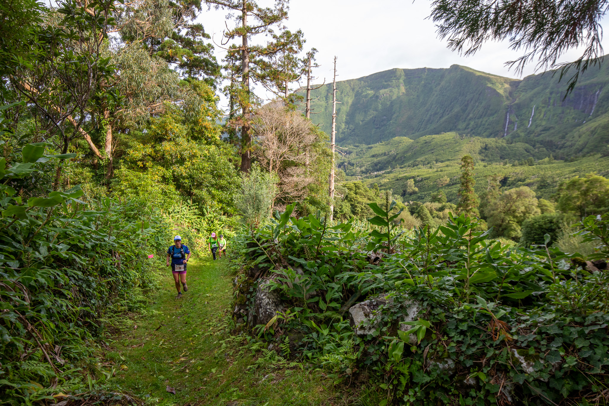 Trail do Queijo da Fajazinha